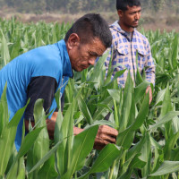 बजेट कार्यान्वयनको गति बढाउन मुख्यमन्त्रीको नौ बुँदे प्रतिबद्धता