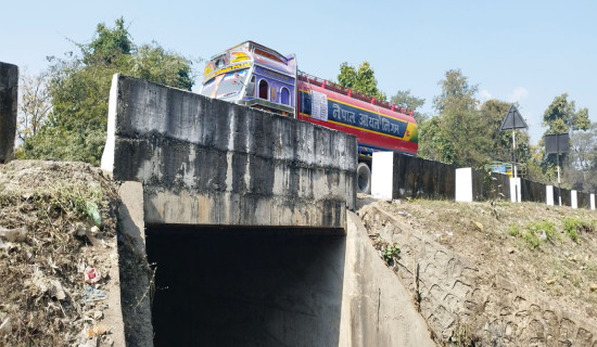 जनावरले प्रयोग नै गरेनन् ‘अन्डर पास’