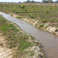 नासा, स्पेसएक्सद्वारा अन्तरिक्ष स्टेशनमा दल परिवर्तन मिशन प्रक्षेपण सुरु