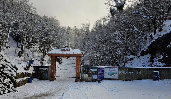 ताप्लेजुङमा बाक्लो हिमपात