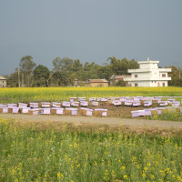 सामाजिक न्यायको मान्यता