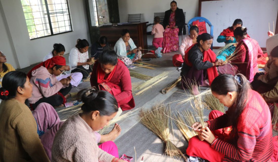 सीप हस्तान्तरण गर्न ढकिया बुन्ने तालिम