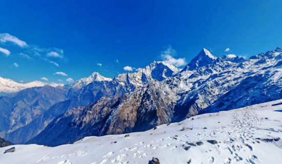 सयपत्री फूल टिप्दै