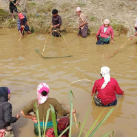 जुम्लामा दसैँको समयमा मात्रै १६ करोड बढीका भेडा तथा खसी-बोकाको कारोबार