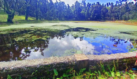 रुद्रतालको संरक्षण गर्दै ढोरपाटन