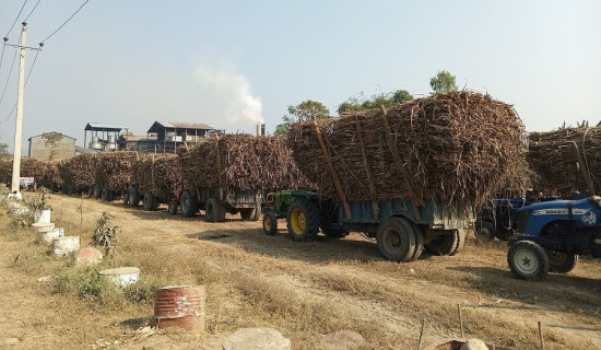 इन्दुशङ्करद्वारा उखु किसानको एक अर्ब ३७ करोड भुक्तानी