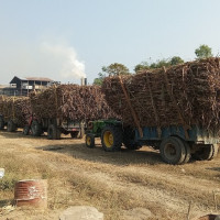 खोलामा अवैध उत्खनन बढ्दो