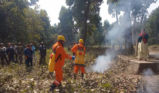 पाथीभरामा दिनमा ६ हजार भक्तजन