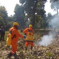 नौ अर्ब वैदेशिक लगानी प्रतिबद्धता