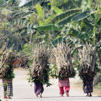 ‘भूमिहीनका समस्या गठबन्धनले समाधान गर्छ’