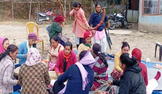 व्यावसायिक रूपमा नौमती बाजाउँदै महिला