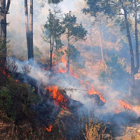 ७५ प्रतिशत सकियो ग्वार्को फ्लाइओभरको काम