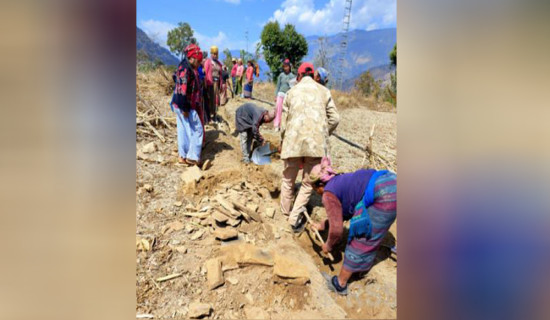 पोखरा महानगर प्रमुखमा एकीकृत समाजवादीका आचार्य, उपप्रमुखमा एमालेका गुरुङ