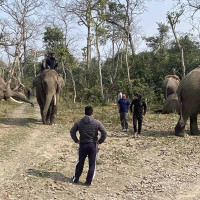 राष्ट्रिय सभामा सङ्कल्प प्रस्ताव पेश