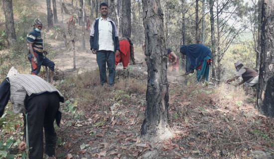 डढेलो नियन्त्रणमा हरित स्वयम् सेवक परिचालन