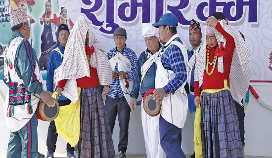 कामविहीन द्वन्द्व निर्देशक