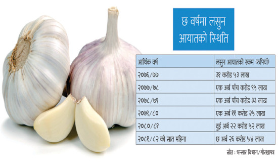 सवा छ अर्बको लसुनको खोजी