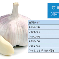 सङक्रमणकालीन न्याय टुङ्गो लगाउन कार्यदल गठन गर्ने निर्णय