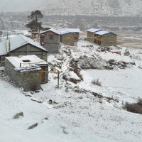 अर्थपूर्ण सहभागिताका लागि समानता