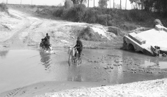 संरक्षणमा उदाहरणीय ढाप पोखरी