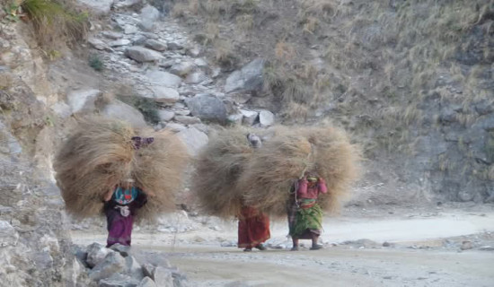 व्यवस्था बदलिएसँगै अवस्था नबदलिंदा कमाइ गर्न भारत