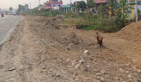 बुटवल गोरुसिङ्गे सडकः रुख कटानको काम अन्तिम चरणमा