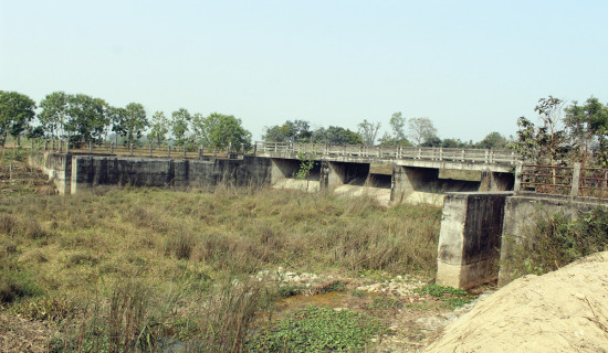 एलिनाको ‘मनमा फुल्ने माया’