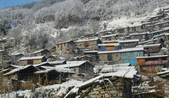 ताजपुरिया र नेपाल भाषा