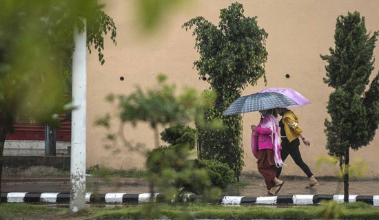 नुवाकोट दरबार क्षेत्र