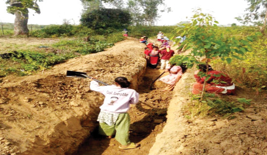 आयातित वस्तुमा आयातकर्ताको विवरण अनिवार्य