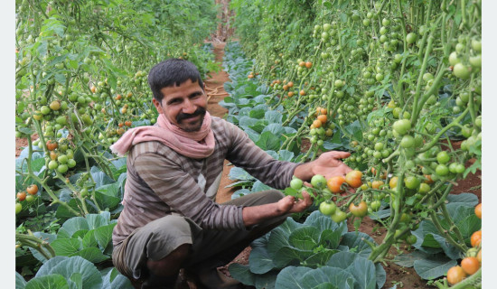 नेपालको ऋण २० खर्ब नाघ्यो