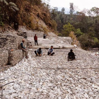 शिक्षकको तलब जोहो गर्न होली, जथाभाबी रङ लगाए कारबाही