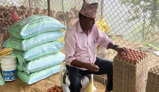 कर्णाली स्वास्थ्य विज्ञान प्रतिष्ठान र न्यूफाउन्डल्याण्डबीच समझदारी