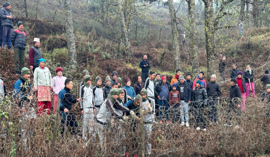 नेताको जिम्मेवारी हेरफेर गर्दै एकीकृत समाजवादी