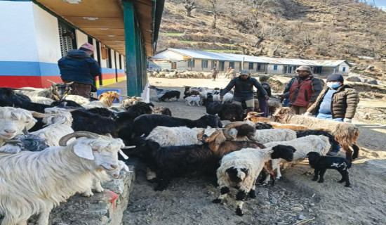 कर्णाली प्रदेश सरकारद्वारा सार्वजनिक बिदा थप