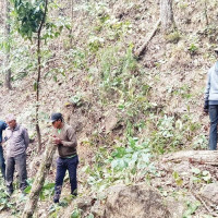 पोखरा विमान दुर्घटना : २५ शव काठमाडौं ल्याइयो