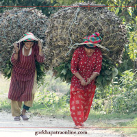 घाइते महिलाको हेलिकोप्टरबाट उद्धार