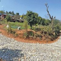 एकीकृत समाजवादीको महाधिवेशन केन्द्रित मस्यौदा समितिको बैठक सुरु