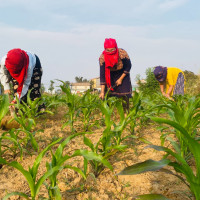 १४ वर्षको बन्दी जीवनदेखि राष्ट्रपतिसम्म