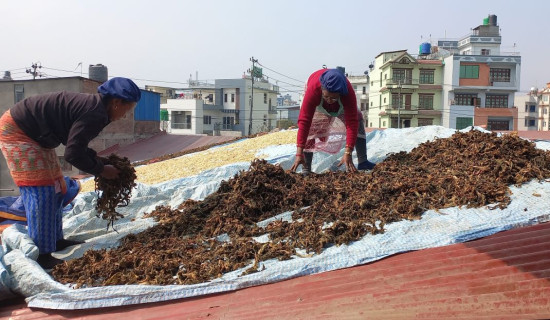 बाढी, पहिरो र डुबान: सत्र जनाको मृत्यु  नौ जना बेपत्ता