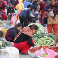 वार्षिक तीन बाली भित्र्याउँदै किसान