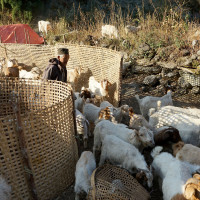 विश्वविद्यालय स्थापनाका लागि स्थलगत अध्ययन