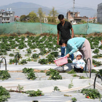 नेपालगन्ज उपमहानगरको बजेट पारित