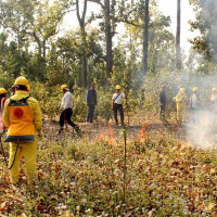 ताप्लेजुङ राष्ट्रिय शिक्षक सङ्गठन अध्यक्षमा सेन्दाङ