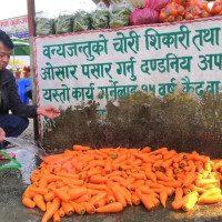 शिक्षकको मागलाई तत्काल सम्बोधन गरौं : डा. भण्डारी