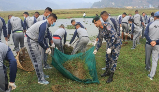 सेतो अण्डा नष्ट गर्दै सशस्त्र प्रहरी