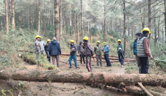 मौलिक र वास्तविक मूल्याङ्कनबाट मात्र राष्ट्रिय सुरक्षालाई सुदृढ तुल्याउन सकिन्छः प्रधानसेनापति