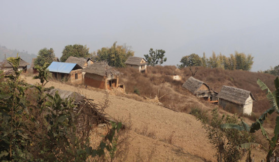 सामुदायिक वनको अभियानबाट उद्यमी बन्नुभएकी विष्णुकुमारी