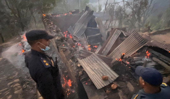 राष्ट्रिय परिचयपत्र बनाउने सफ्टवेयर बन्द हुँदा सम्पूर्ण काम अवरुद्ध