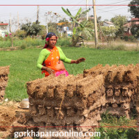 थापा एकतिसौँ प्रहरी महानिरीक्षक